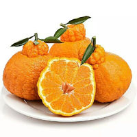 果沿子 新鲜丑橘不知火丑八怪丑柑丑桔子 4.5斤装