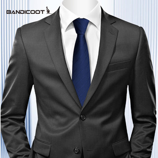 BANDICOOT 时尚风格袋鼠 领带拉链男正装商务衬衫工作结婚免打一拉得懒人西装领结礼盒装 蓝色-领带-经济装