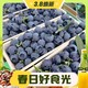 春焕新：abay 特大果 新鲜蓝莓 125g/2盒 果径18-22mm