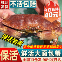 【活蟹 包活次日达】面包蟹鲜活大螃蟹黄金螃蟹螃蟹海鲜水产 鲜活大蟹700-800g/只