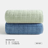 三利2条方格毛巾夏季柔软家用珊瑚绒吸水速干男女洗脸洗澡面巾 绿色+蓝色