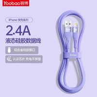 Yoobao 羽博 苹果快充线数据线  2米