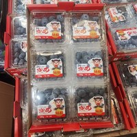 黄花地 特大果 蓝莓 125g/6盒 果径18-22mm
