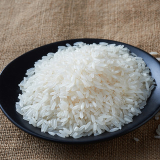 2022新米东北长粒香吉林大米5kg装长粒米胚芽米粳米10斤寿司用米