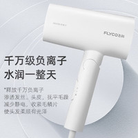 FLYCO 飞科 家用吹风机大功率负离子恒温速干护发电吹风学生宿舍用风筒机FH6276