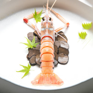 掌鲜生活新西兰进口南极鳌虾 1KG SCAMPI斯干比虾特大甜虾刺身深海牡丹虾 