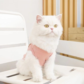 爱它乐猫狗服装春秋夏季保暖卫衣小宠物泰迪猫咪外套可爱小熊粉中