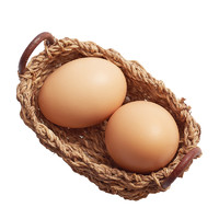 88VIP：田园居 初生蛋土鸡蛋20枚初产新鲜鸡蛋无抗柴鸡蛋笨鸡蛋整箱礼盒装