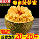 宜品道 海南黄肉菠萝蜜 20-25斤/个