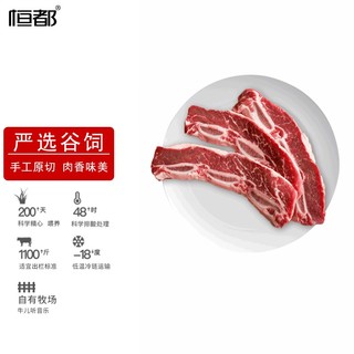 恒都 国产牛肋排500g*2   牛肉生鲜 牛肋排品质牛肉原切冻品