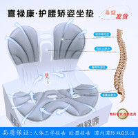 喜禄康 护腰矫姿坐垫久坐不累沙发办公室一体腰靠臀垫美臀神器 月光白减震气泡袋装 36*42*34.5cm