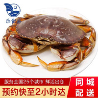 乐食港 鲜活珍宝蟹大螃蟹加拿大进口太子蟹海鲜水产