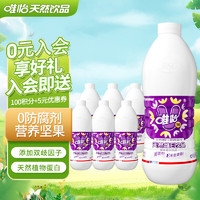 viee 唯怡 坚果饮品紫标核桃花生 植物蛋白饮料 960ml *6瓶搭配火锅