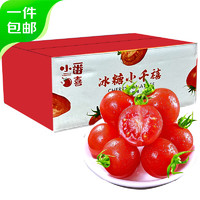 京百味 西红柿千禧小番茄3斤 120颗中果 电白冰糖 新鲜蔬菜源头直发包邮
