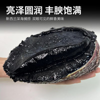 鲟食 新西兰黑金鲍 大鲍鱼高端食材生鲜佳品 海鲜水产 新西兰黑金鲍 550-650g/只