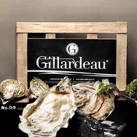 半蓝岛法国Gillardeau吉娜朵生蚝吉拉多鲜活刺身生蚝牡蛎贝类海鲜 N1(120-135g/只）12只
