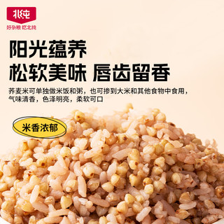 北纯 有机荞麦1.4kg（荞麦 东北 五谷 杂粮 粗粮 罐装 大米 粥米伴侣)
