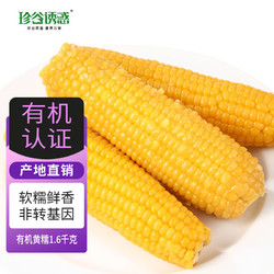 珍谷诱惑 23年新鲜糯玉米 有机玉米 甜糯玉米棒 真空玉米 轻食苞米 有机小黄糯1.6kg