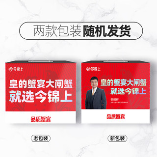 【活蟹】今锦上大闸蟹鲜活螃蟹礼盒公5.7-6.0两母3.8-4.1两4对8只精品礼盒去绳足重