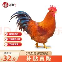 潭牛 海南文昌鸡 110天小公鸡 1kg