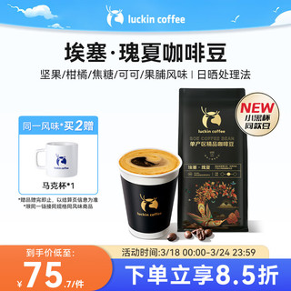 单产区精品咖啡豆埃塞·瑰夏咖啡豆250g/袋中烘日晒门店同源豆粉