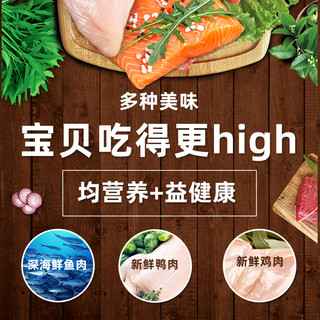 DOTUS 多特思 鲜肉狗粮半湿软粮通用型狗狗零食火腿肠250g