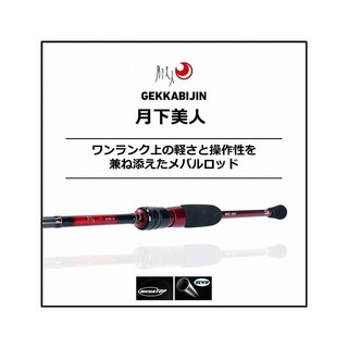 daiwa 月下美人 83M-T･N旋转2根石斑鱼竿