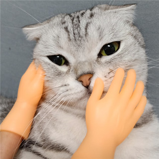 撸猫小手手套模型迷你猫咪按摩指套硅胶芭比手指玩具逗猫