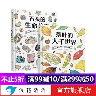 浪花朵朵 盛口满系列：石头的生命故事+落叶的大千世界2册套装 7-10岁 石头地质落叶植物 日本童书研究会 科普百科绘本 后浪童书