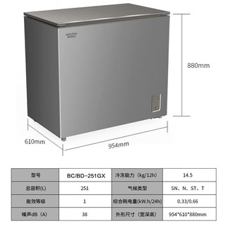 澳柯玛（AUCMA）冰柜家用251升小冷柜 冷藏冷冻单温转换一级能效雪柜 商用速冻保鲜冰箱BC/BD-251GX 减霜80% 251升机械温控零下23度