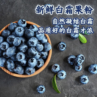 黄花地 特大果 蓝莓 125g/6盒 果径15-18mm （不用券实付）