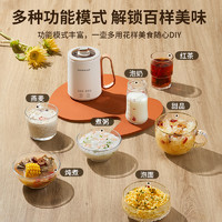 LOCK&LOCK 乐扣养生壶迷你小型一人家用多功能煮茶器办公室宿舍炖煮杯花茶壶