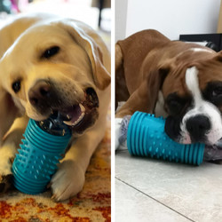 CAITEC 美国宠物狗狗玩具水瓶套空瓶子玩具套不适合咬力很强的狗狗