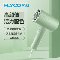 FLYCO 飞科 电吹风家用大功率吹风筒旅行便携式吹风机冷热风理发店发廊 FH6296绿色