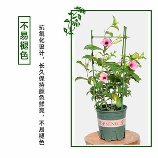 爬藤架铁线莲园艺架子花架攀爬架小架网植物支撑架黄瓜固定自动