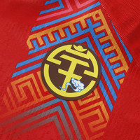KELME 卡尔美 足球服 24年中甲俱乐部广西平果哈嘹比赛服球员版球衣