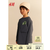 H&M2024春季童装男童柔软圆领长袖棉质汗布T恤1223978 深灰色/豌豆 150/76 10-12Y