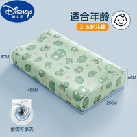 Disney 迪士尼 可水洗记忆棉儿童枕头