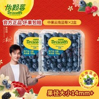怡颗莓 当季云南蓝莓 国产蓝莓125g*2盒
