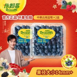 怡颗莓当季云南蓝莓国产蓝莓125g2盒