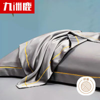 九洲鹿 仿天丝抗菌防螨枕套冰丝枕头套一对48*74cm双人枕芯套夏季