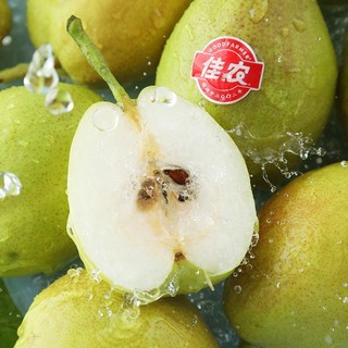 【佳农】新疆库尔勒香梨3.6斤礼盒装当季新鲜水果多仓发货
