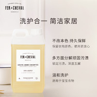 FER A CHEVAL 洗衣液礼包法国fer a cheval马赛皂液浓缩洗衣液 天然植物马蹄铁 洗衣液 2L阳光晒后明媚感 1瓶