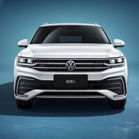 上汽大众 途观L  24款 出众款 330TSI 两驱龙腾版5座