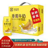 忠厚乳業 忠厚乳业 香蕉牛奶200ml×12盒