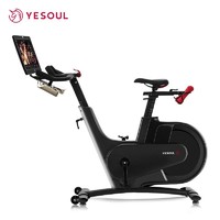YESOUL 野小兽 智能动感单车家用健身单车室内自行车运动健身器材脚踏车  V1 Plus-爵士黑