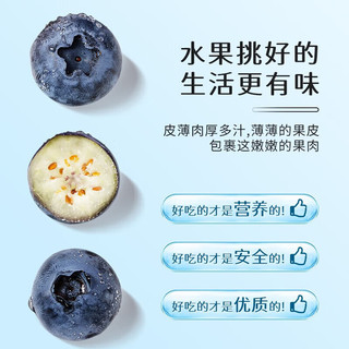 梦芷 言果纪新鲜蓝莓 酸甜口感新鲜水果 孕妇宝宝可食用 甄选 蓝莓 125g*6盒 装单 果18-22mm