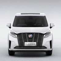 BUICK 别克 GL8 ES 陆尊 653T 旗舰型 珍珠白