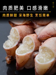 蕾拉古蒂海兔子笔管鱼冷冻籽乌新鲜墨鱼仔带籽小鱿鱼乌贼带籽纯籽