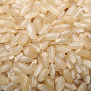 万谷食美 糙米5斤东北长粒香糙米含胚芽 杂粮粥米  长粒香糙米5斤